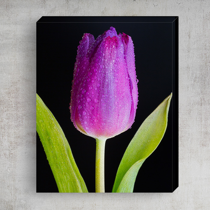 8x10 Matte Canvas (0.75in)