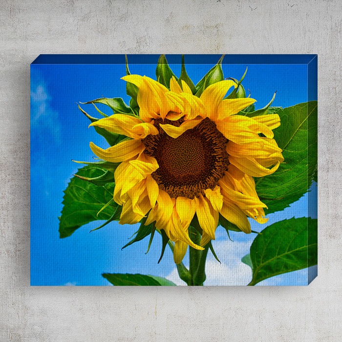 10x8 Matte Canvas (0.75in)