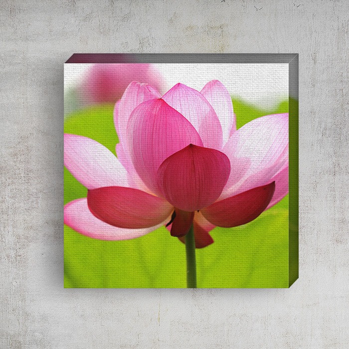 8x8 Matte Canvas (0.75in)