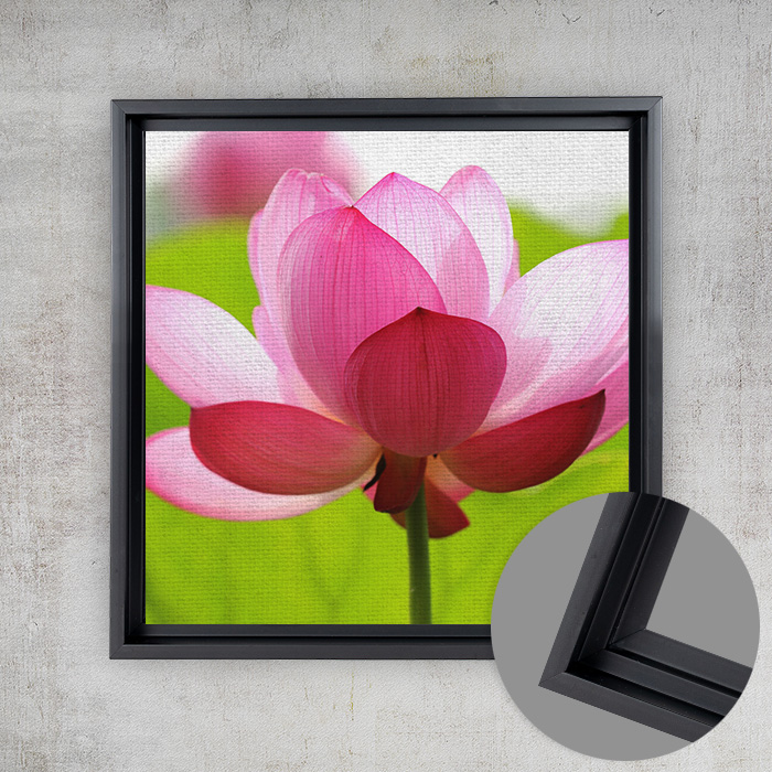 8x8 Matte Canvas (1.25in), Black Frame