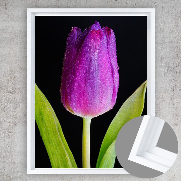 8x10 Matte Canvas (1.25in), White Frame