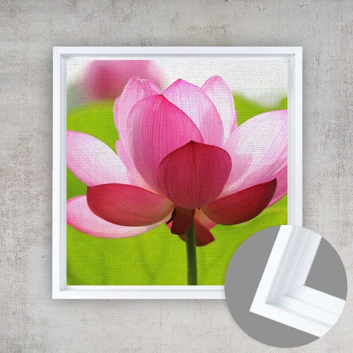 8x8 Matte Canvas (1.25in), White Frame