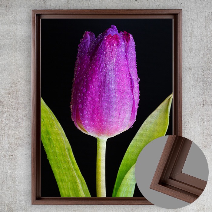 8x10 Matte Canvas (1.25in), Espresso Frame