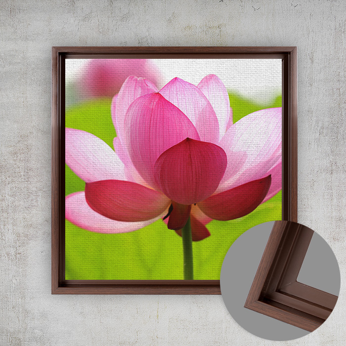 8x8 Matte Canvas (1.25in), Espresso Frame