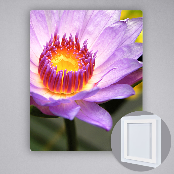 11x14 Metal Print, Matte (portrait)
