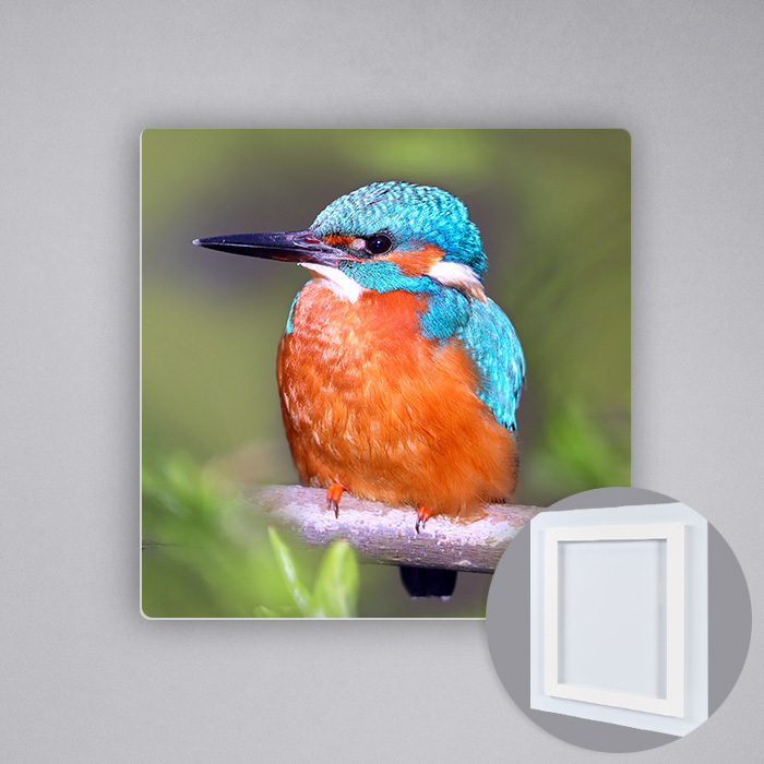 12x12 Metal Print, Matte (square)